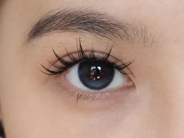 Flutter Muse lashes on a real eye