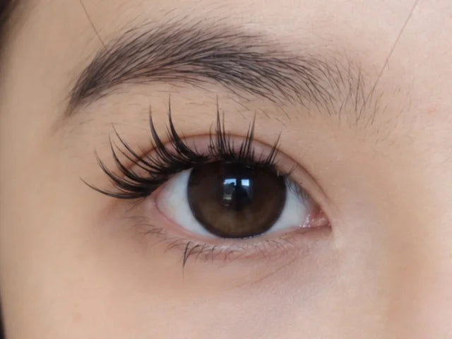 Blush Whisper lashes on a real eye